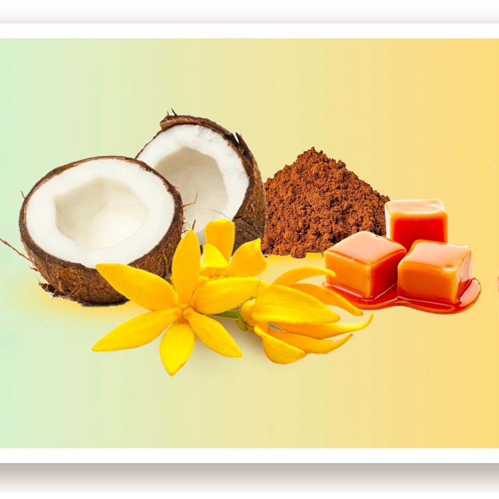 Cocobay